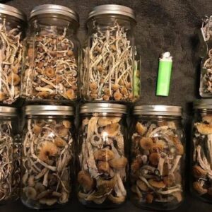 mushrooms